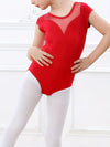 Sweetheart Mesh Leotard